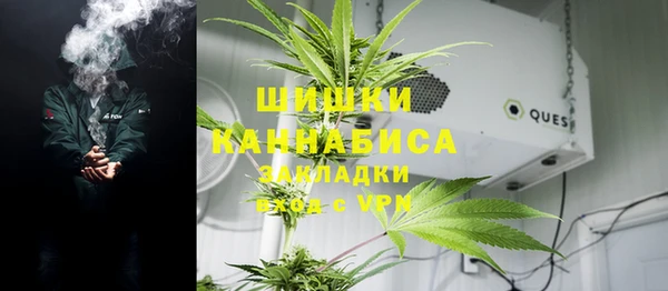 сатива Абдулино