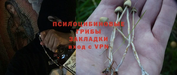 сатива Абдулино
