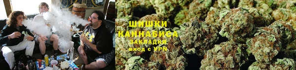 сатива Абдулино