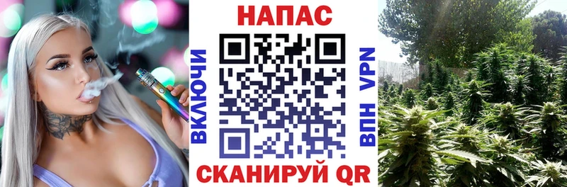 Бошки Шишки план  Шенкурск 